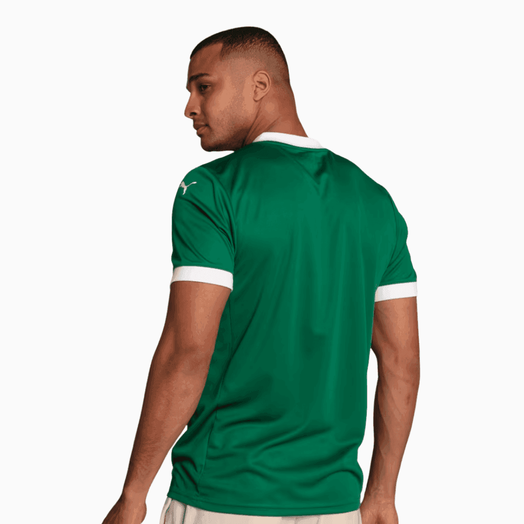 Camisa Puma Palmeiras 2025/26 I Torcedor