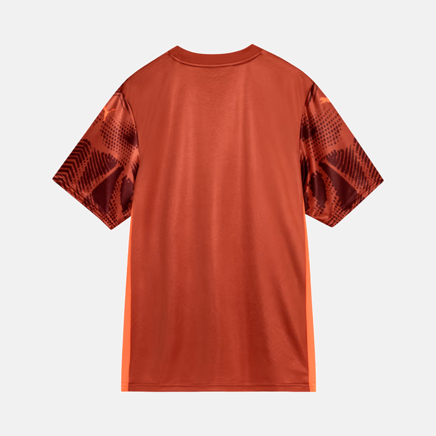 Camisa Puma Palmeiras 2025/26 Goleiro II