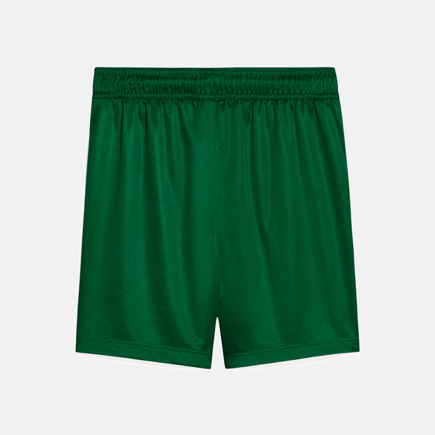 Shorts Palmeiras 2025/26 II